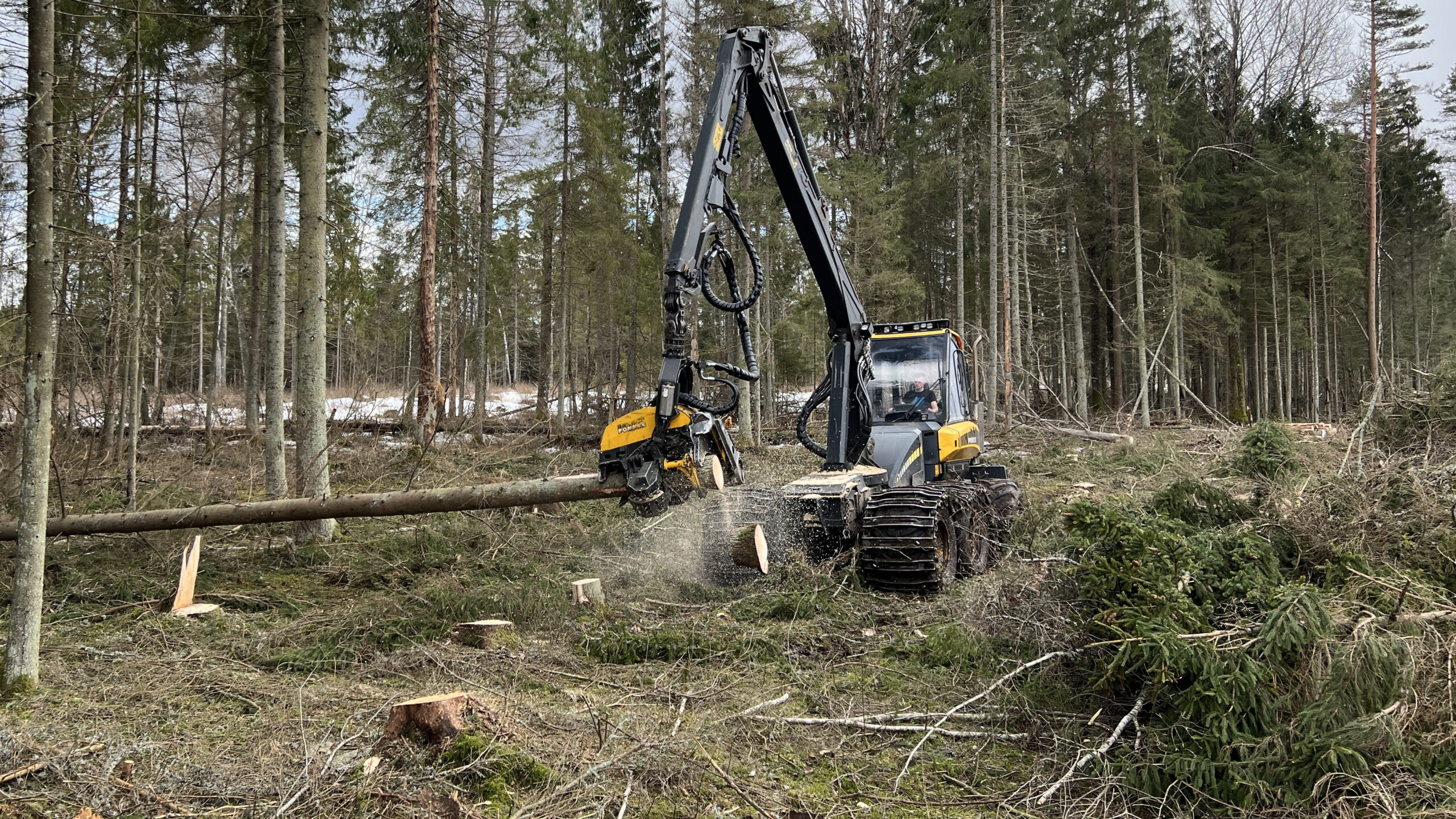 Harvesteri lõikus